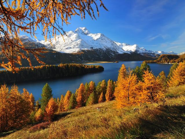 如何制定營(yíng)銷策略:你需要知道的一切 如何制定營(yíng)銷策略:你需要知道的一切